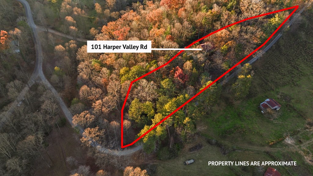 434656 Ellijay Active