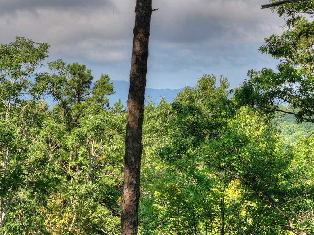 434683 Morganton Active