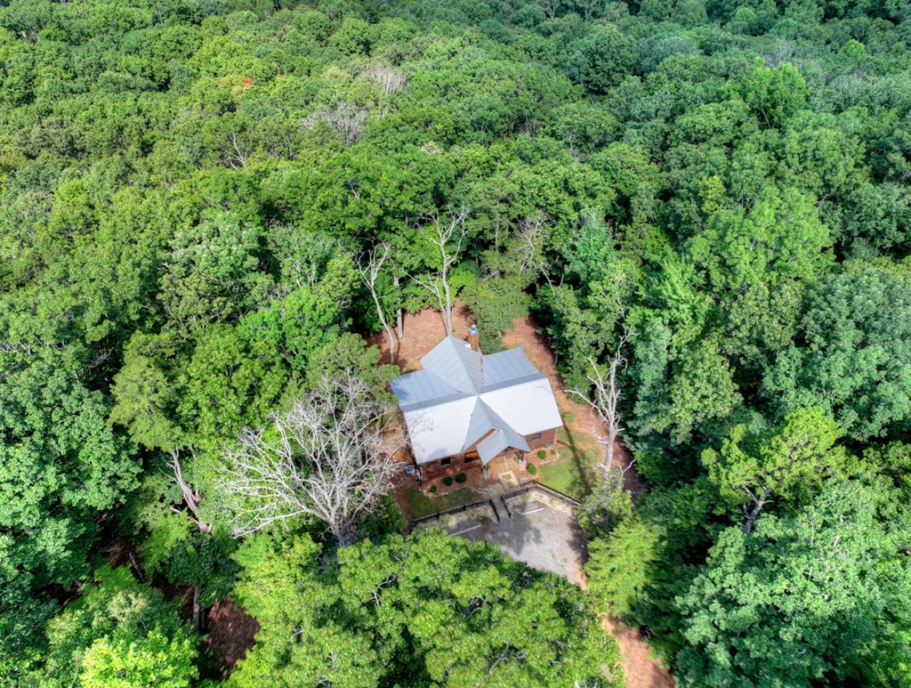 434683 Morganton Active