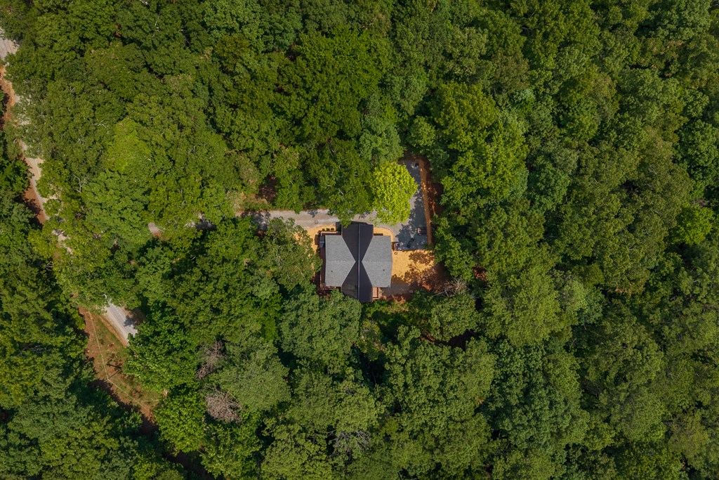 434685 Ellijay Active