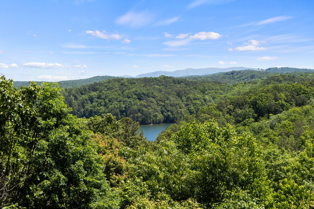 434727 Ellijay Active