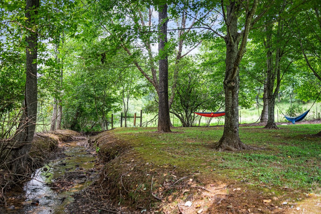 434733 Blue Ridge Active