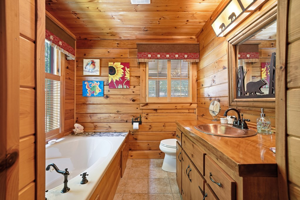 434760 Mineral Bluff Active