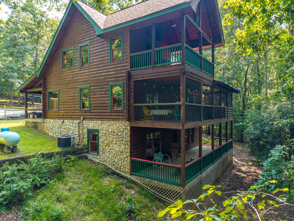 434760 Mineral Bluff Active