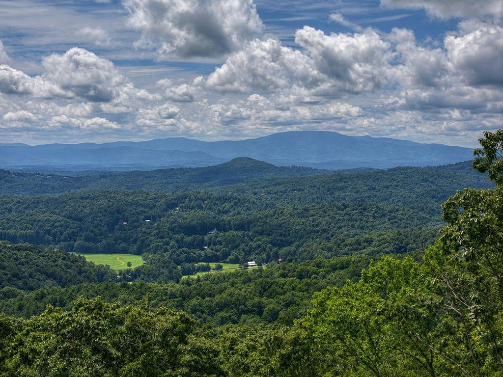 434776 Mineral Bluff Active