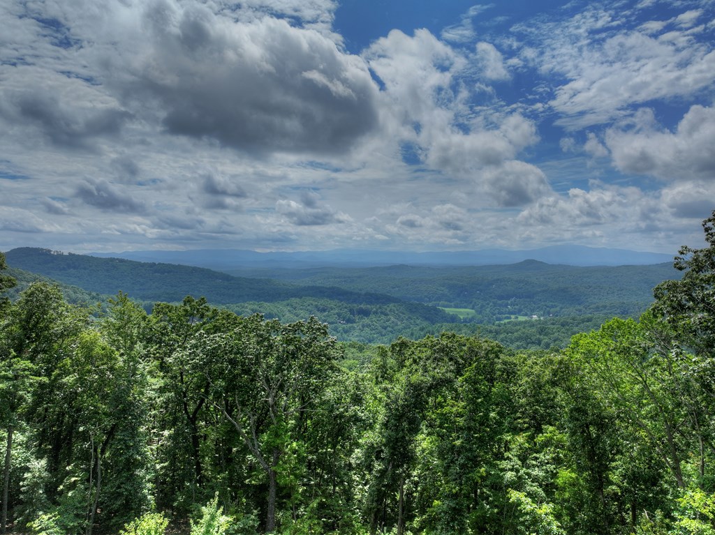 434776 Mineral Bluff Active
