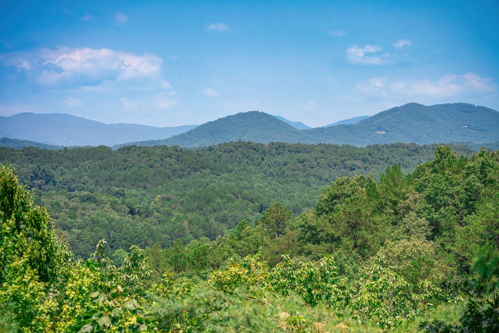 434804 Morganton Active