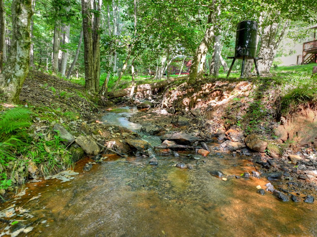 434825 Blue Ridge Active