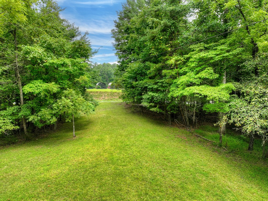 434832 Mineral Bluff Active