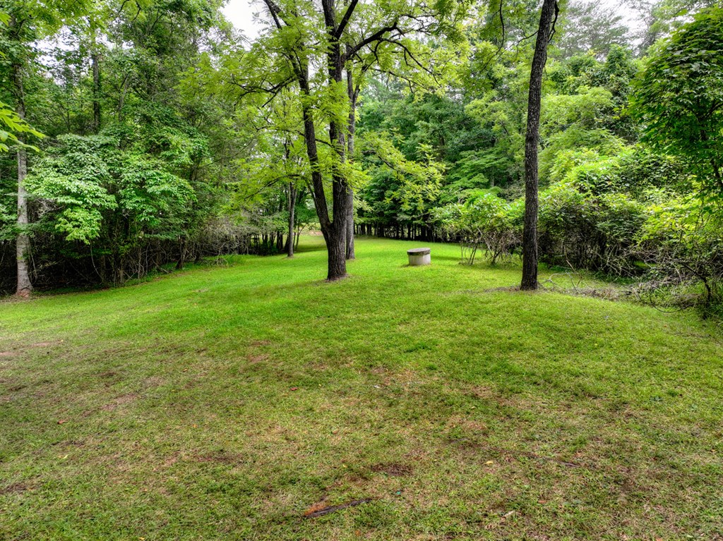 434832 Mineral Bluff Active