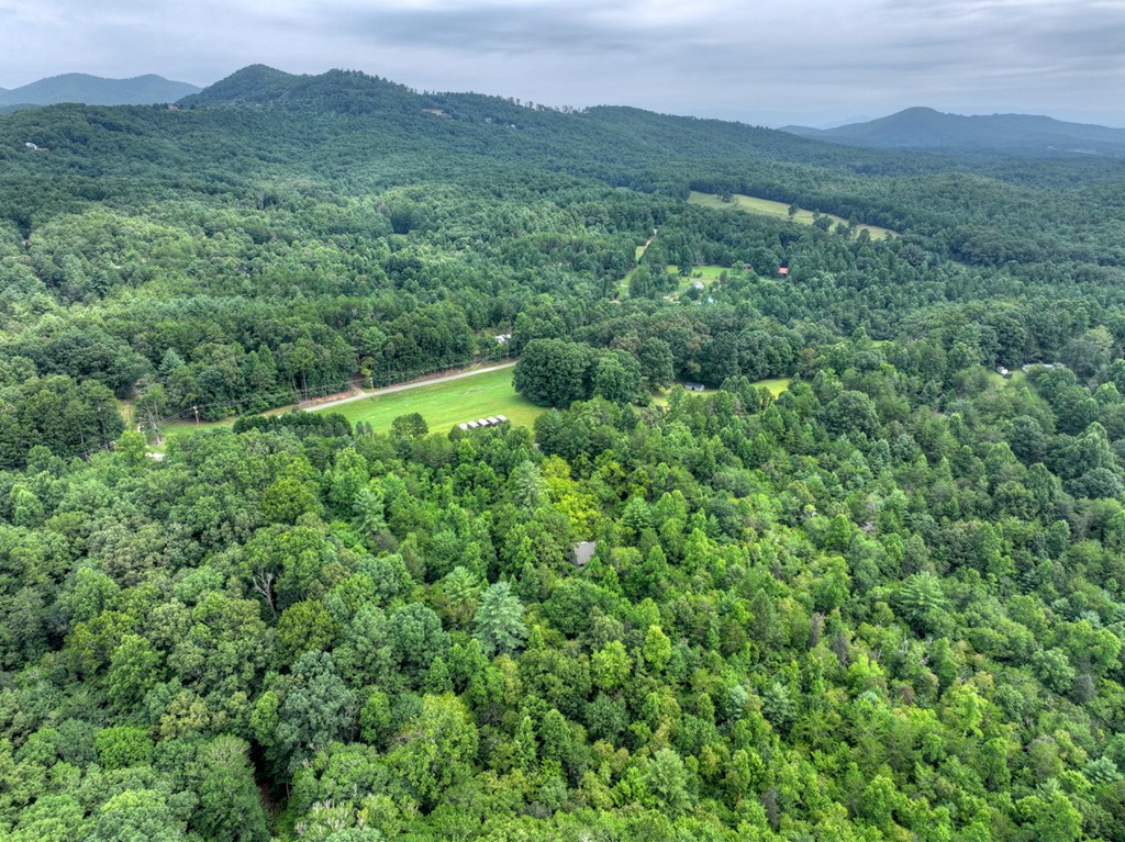 434832 Mineral Bluff Active
