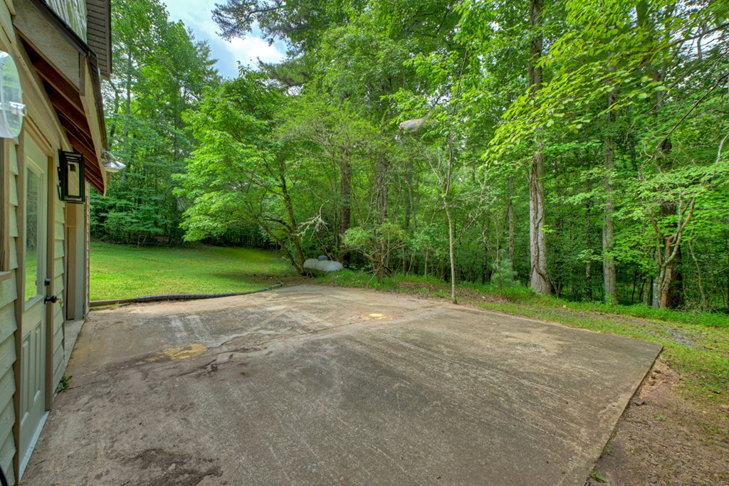 434832 Mineral Bluff Active