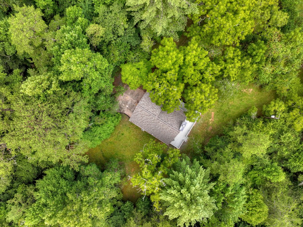 434832 Mineral Bluff Active