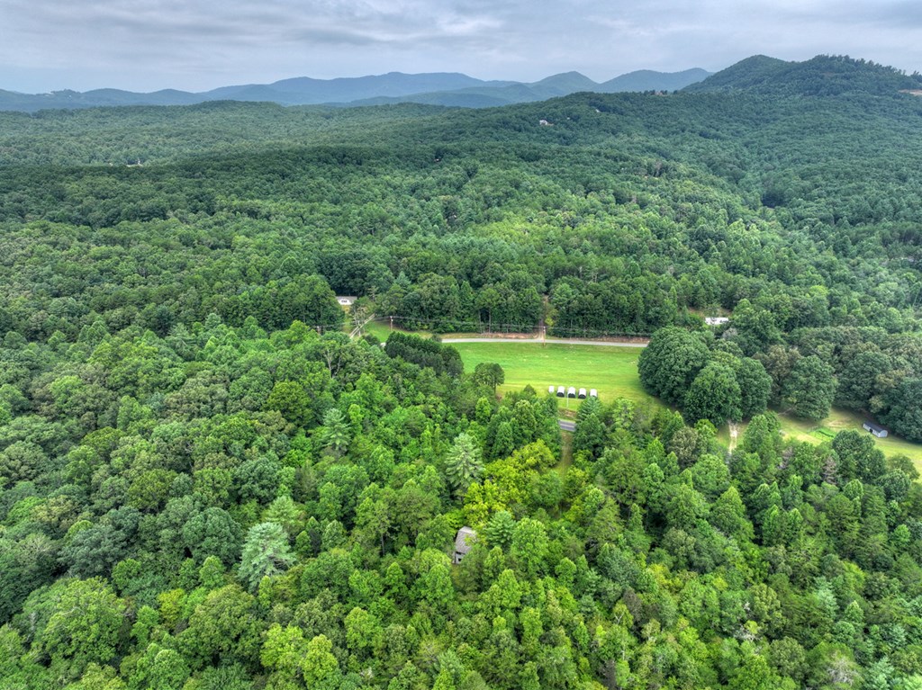 434832 Mineral Bluff Active