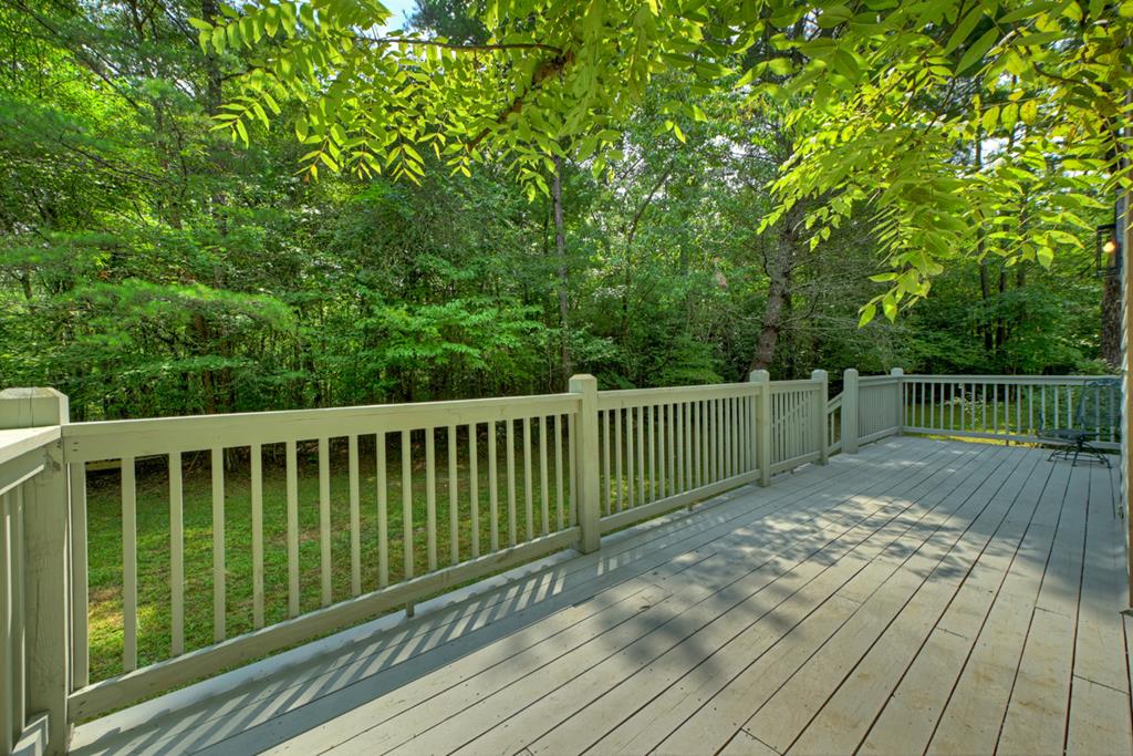 434832 Mineral Bluff Active