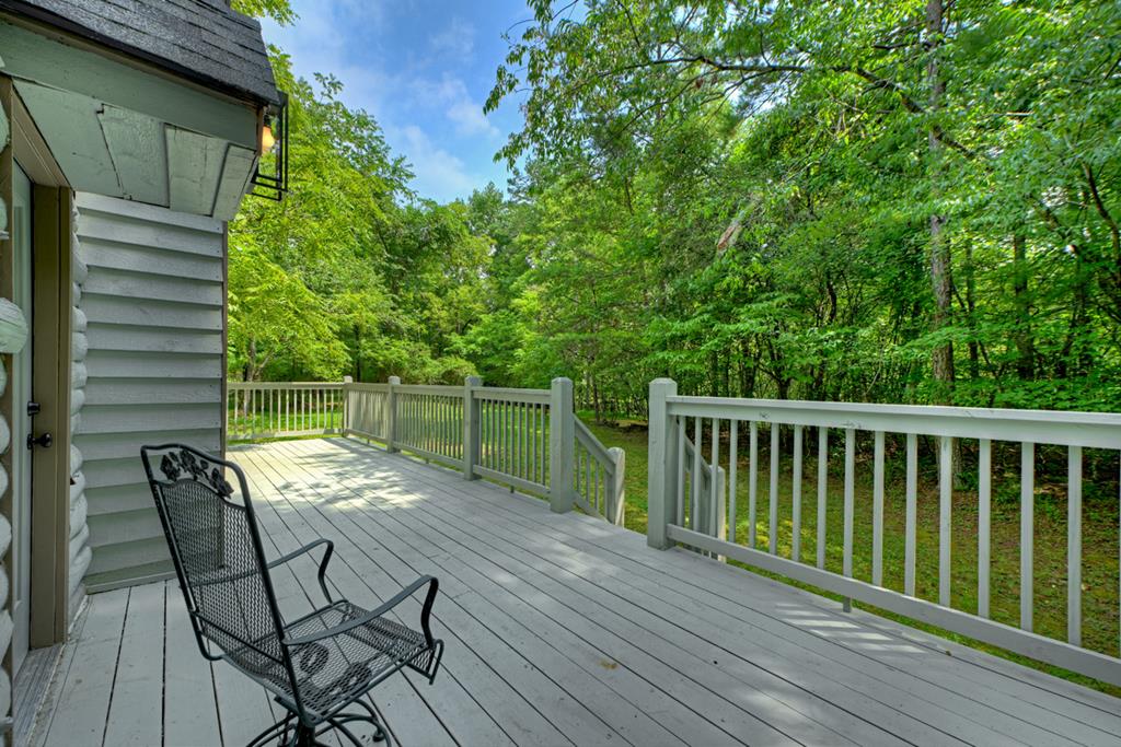 434832 Mineral Bluff Active