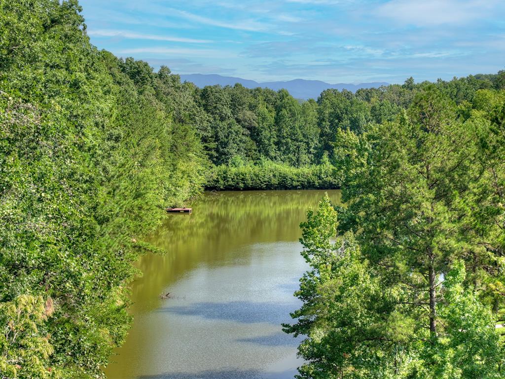 434903 Ellijay Active