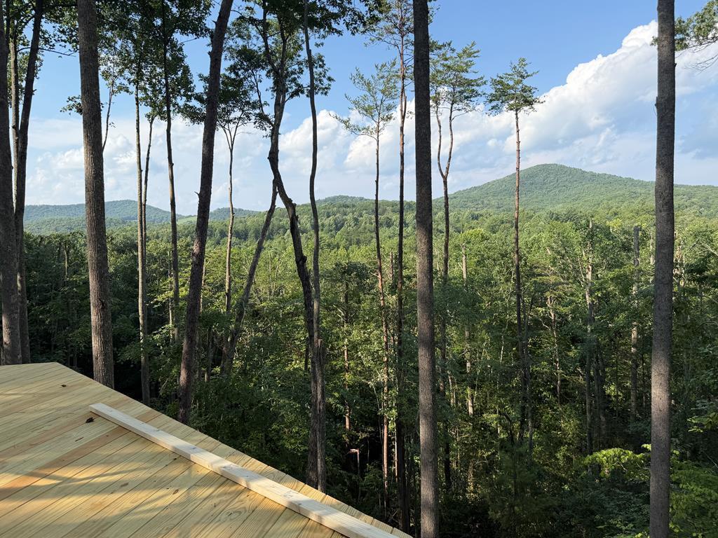 434909 Morganton Active