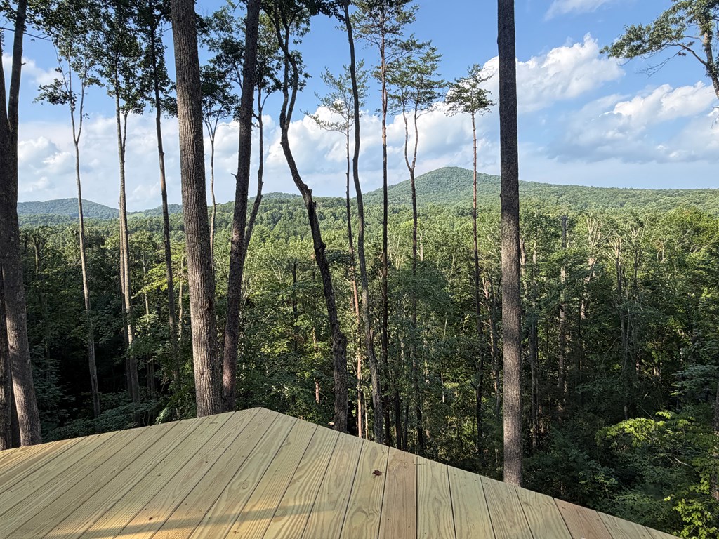 434909 Morganton Active