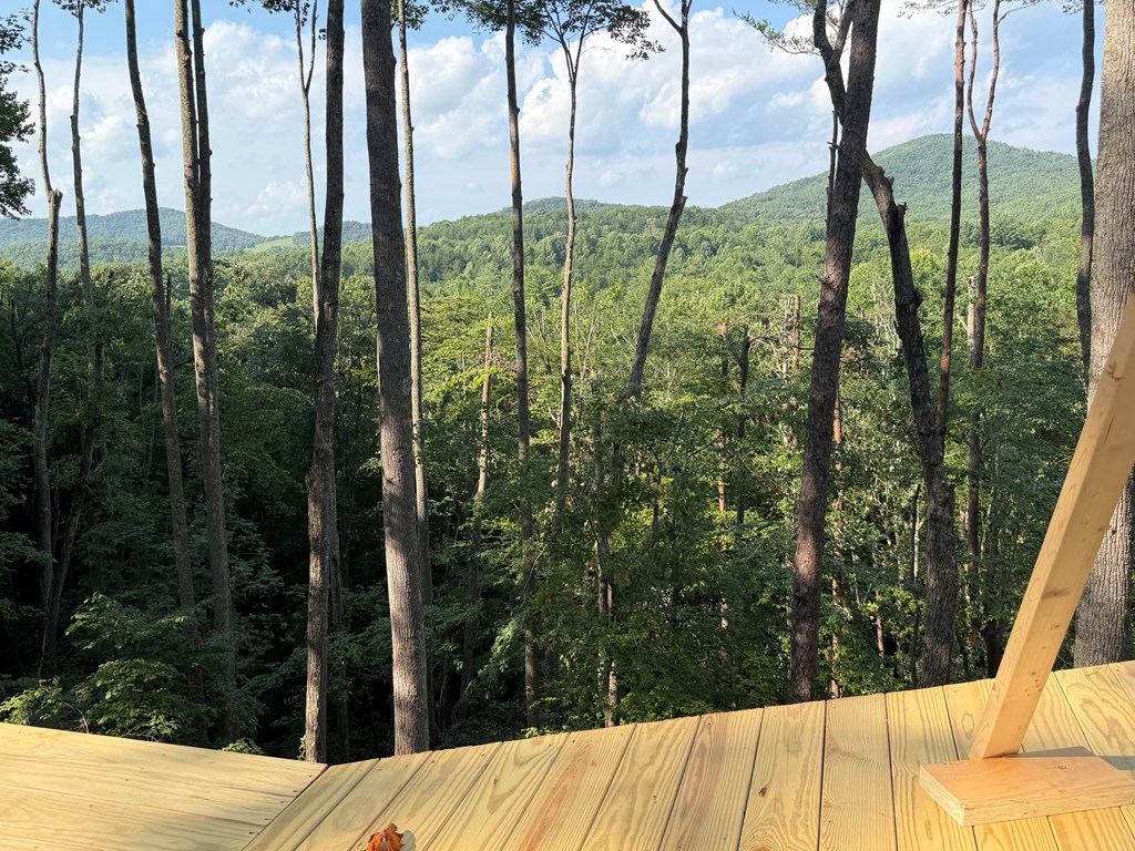 434909 Morganton Active
