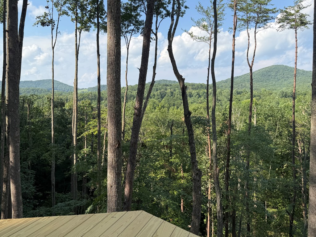 434909 Morganton Active