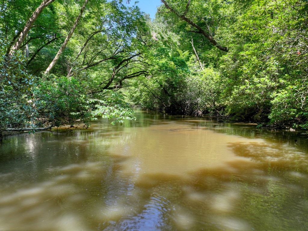 434915 Ellijay Active