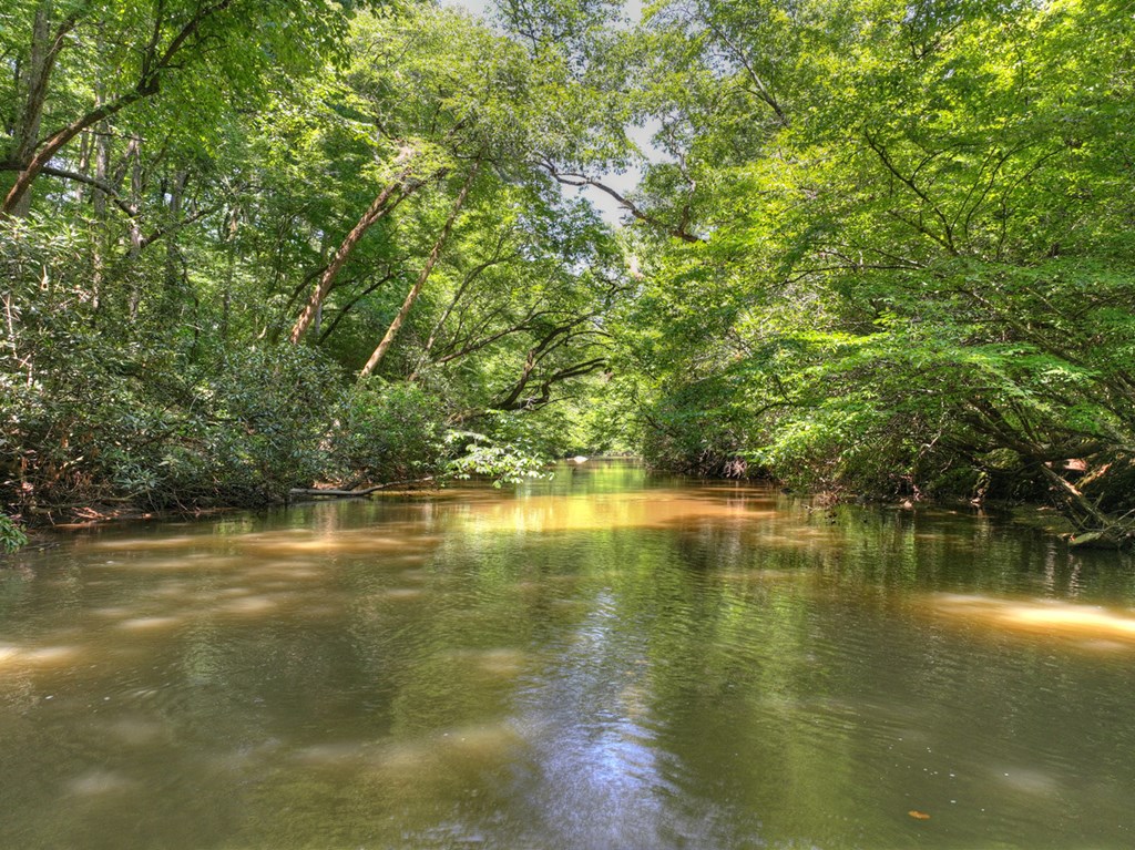 434915 Ellijay Active