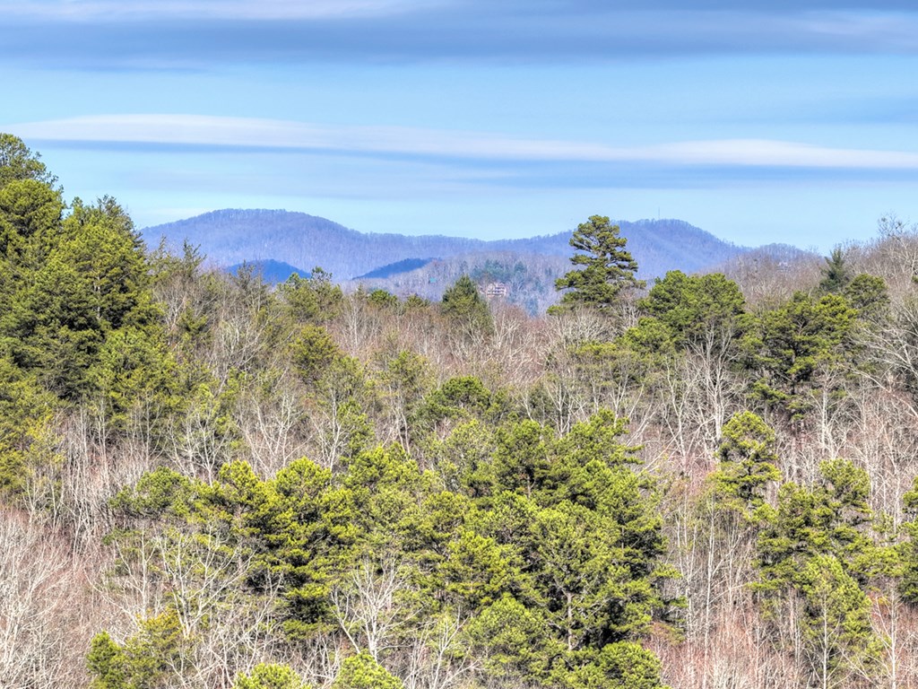 434917 Blue Ridge Active