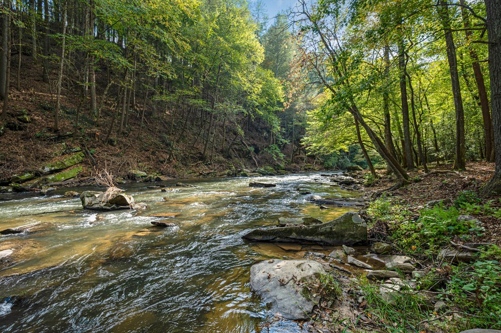 434924 Ellijay Active