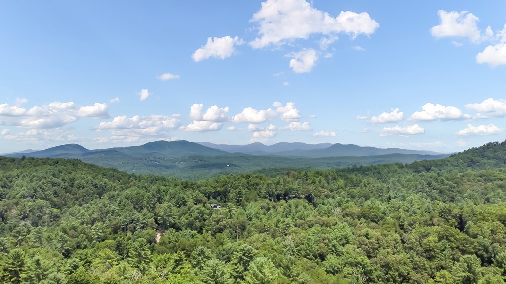 434932 Morganton Active