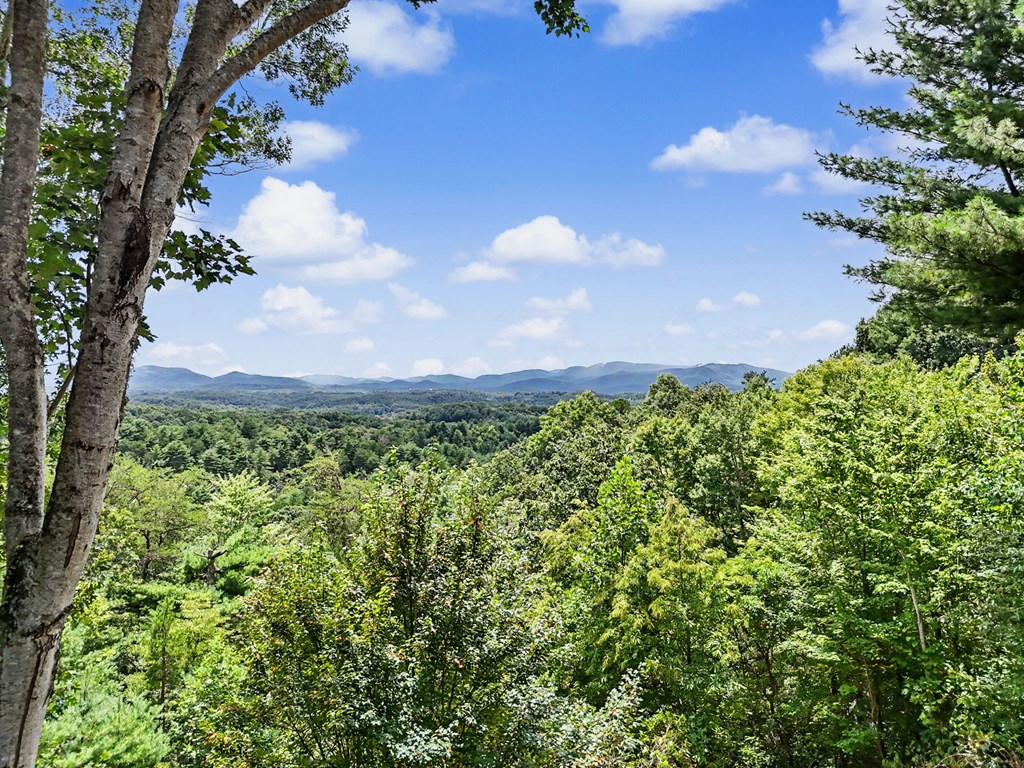 434940 Morganton Active