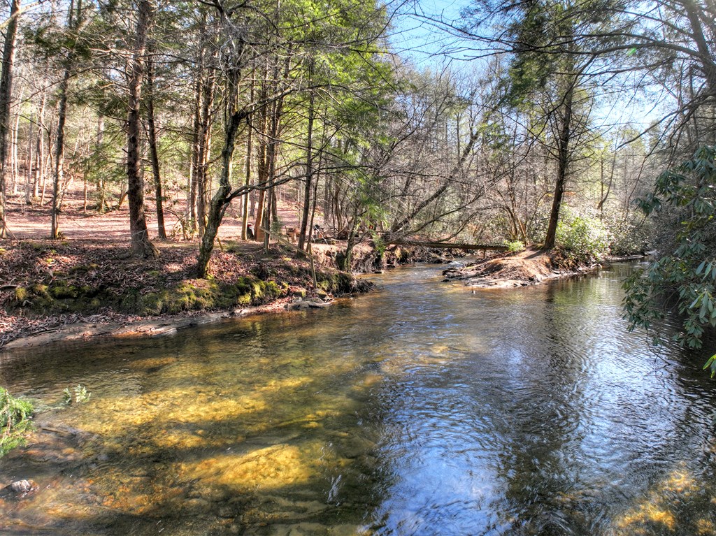 434951 Blue Ridge Active