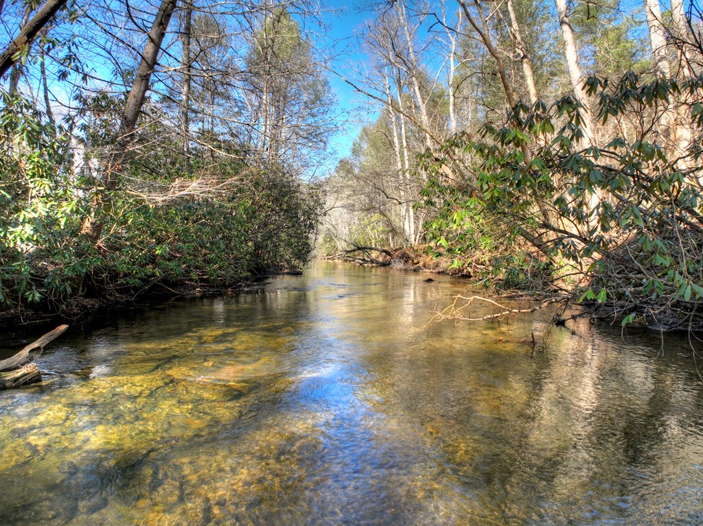 434951 Blue Ridge Active