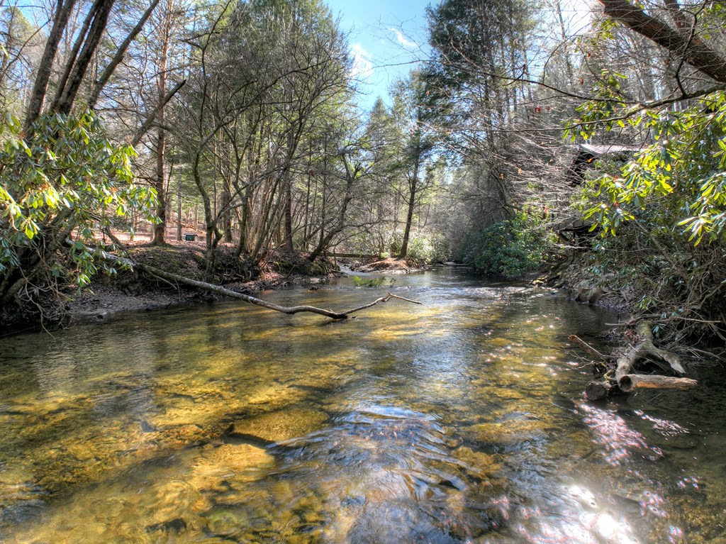 434951 Blue Ridge Active