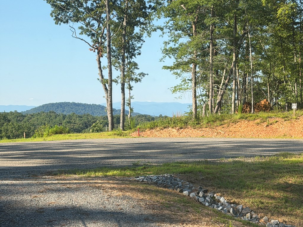 434954 Mineral Bluff Active