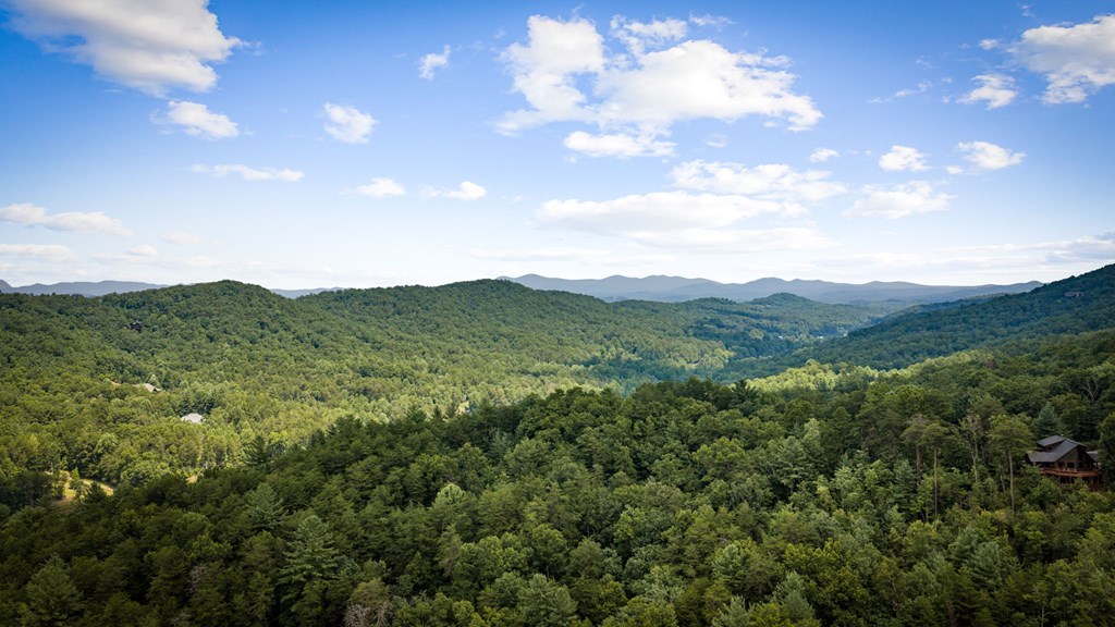 434956 Blue Ridge Active