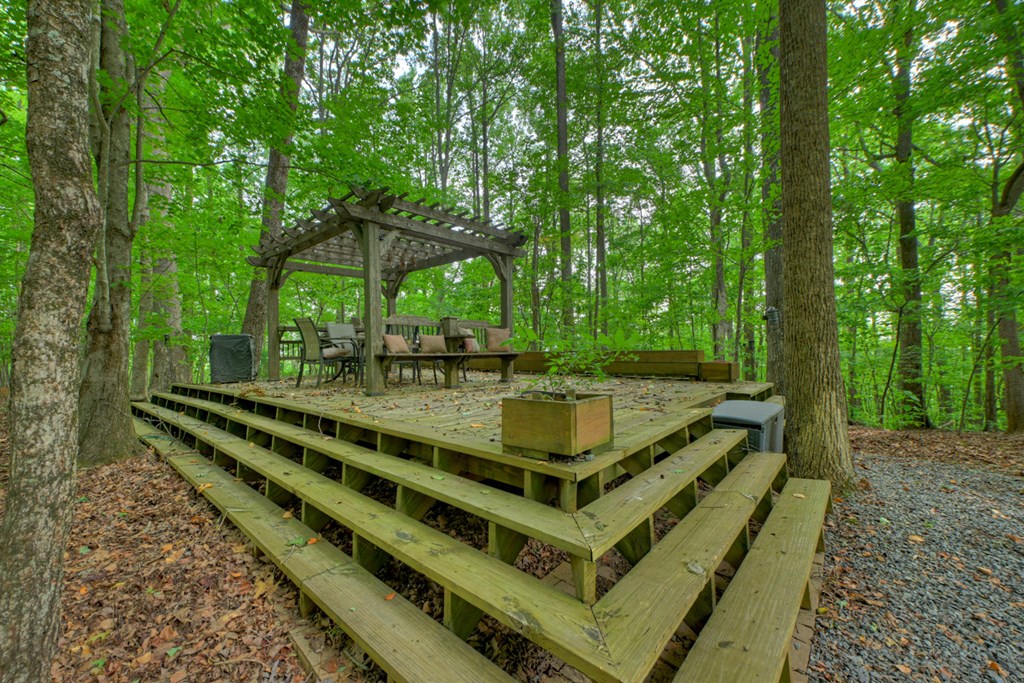 434963 Blue Ridge Active