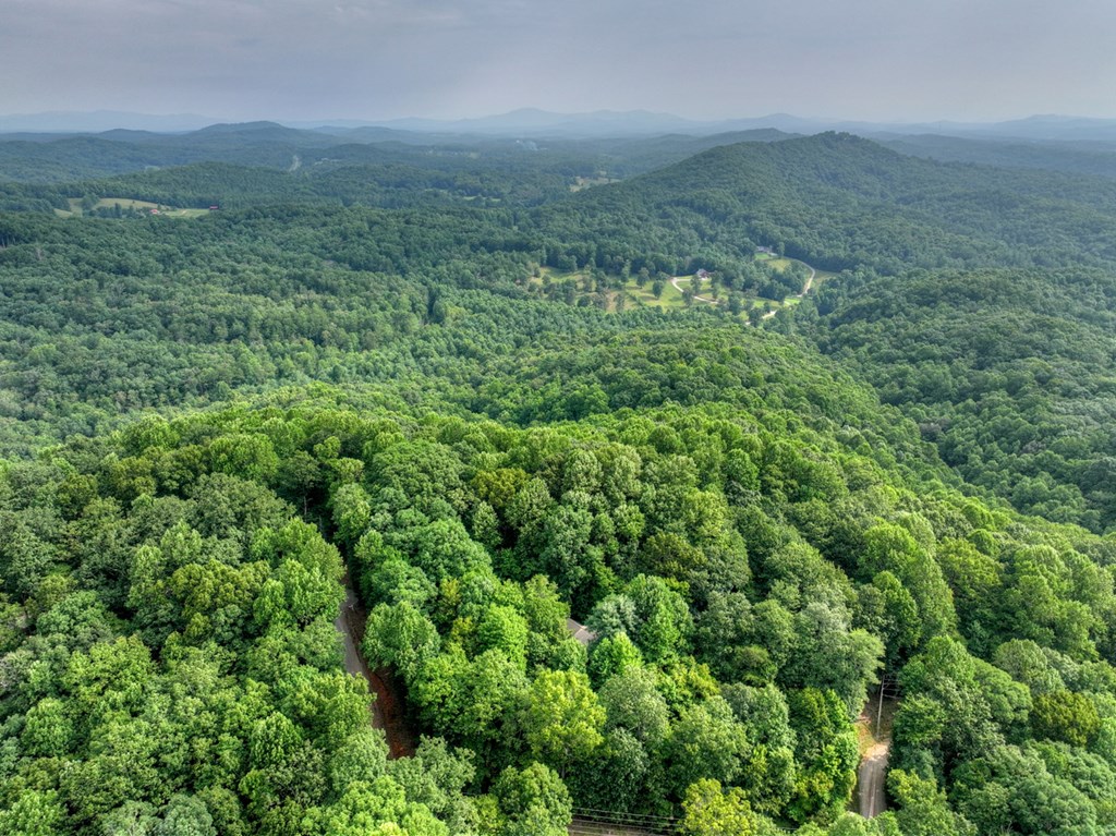434963 Blue Ridge Active