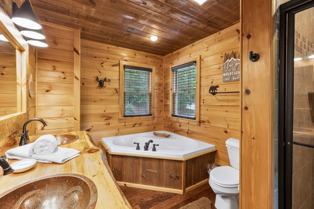 434984 Blue Ridge Active