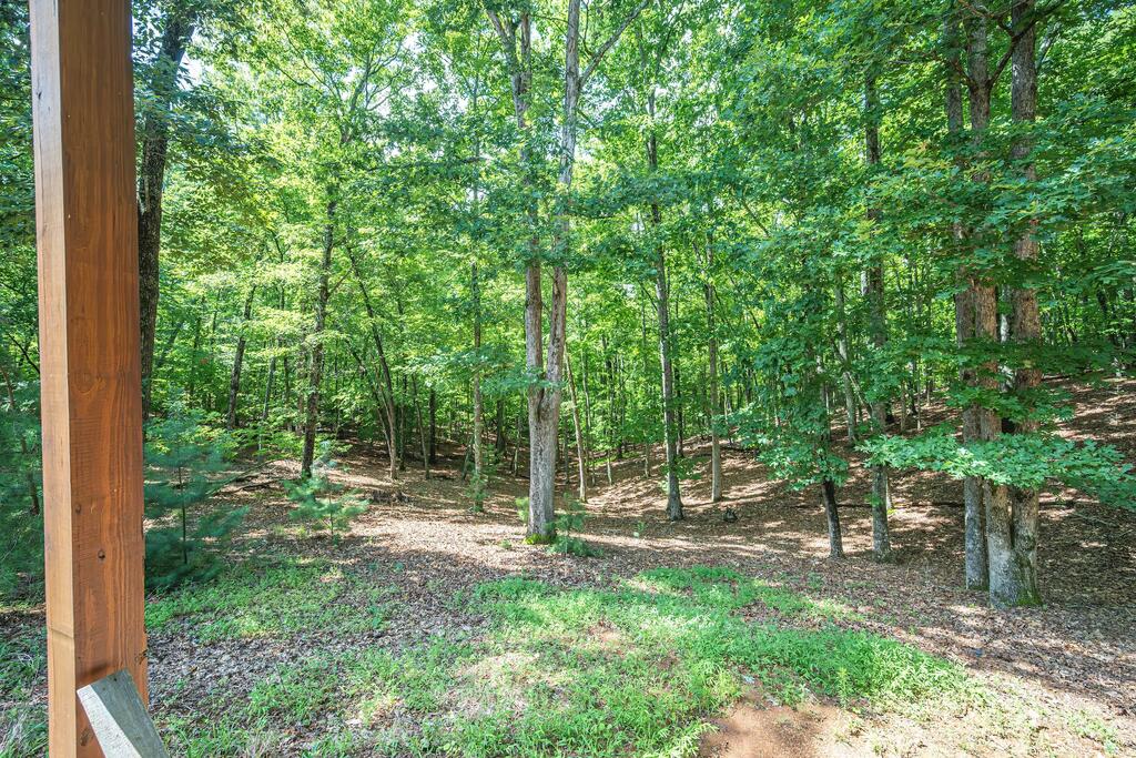 435013 Mineral Bluff Active
