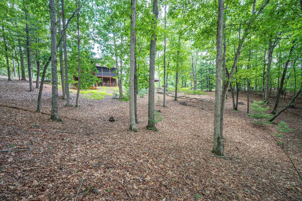 435013 Mineral Bluff Active