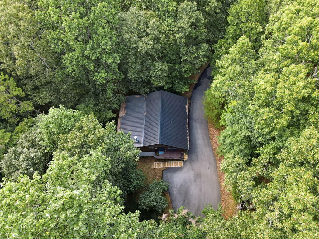 435026 Ellijay Active
