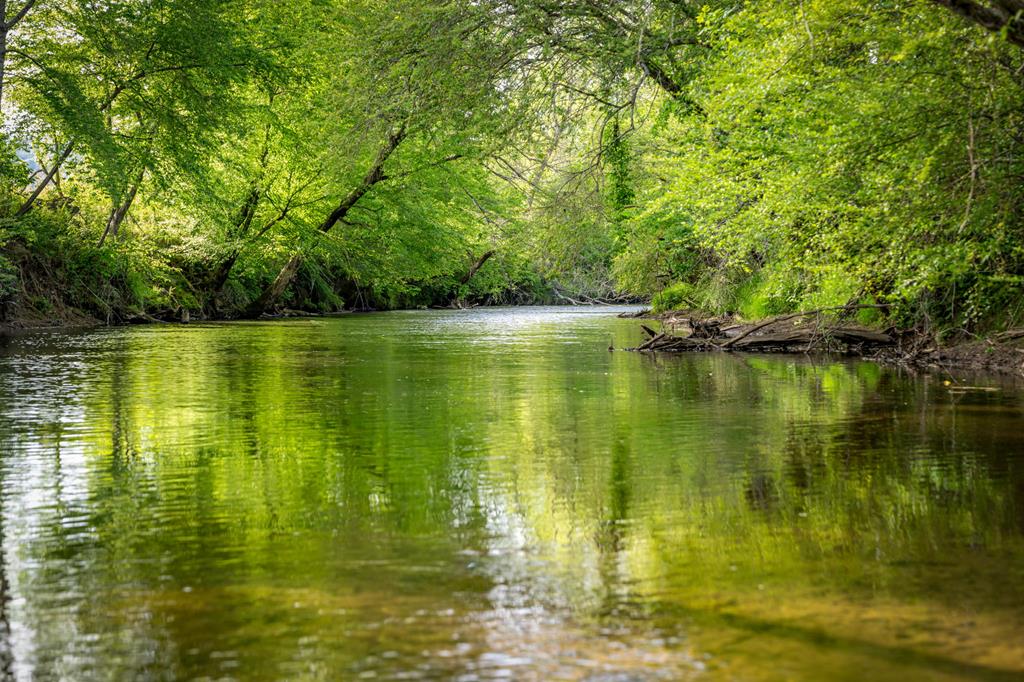 435027 Ellijay Active