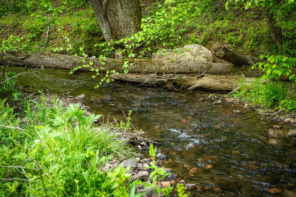 435027 Ellijay Active