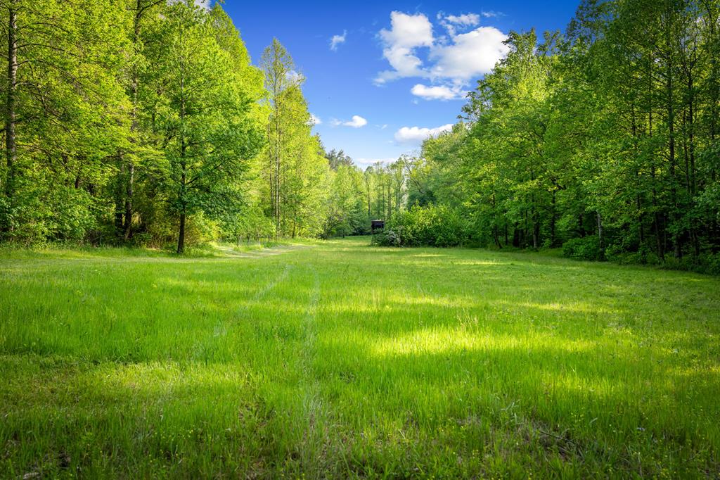 435027 Ellijay Active