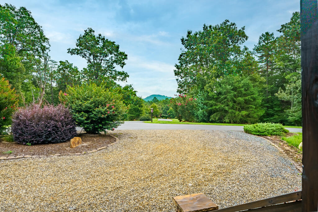 435041 Mineral Bluff Active
