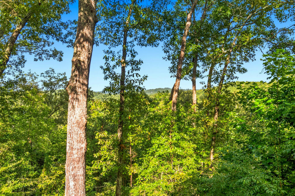 435053 Mineral Bluff Active