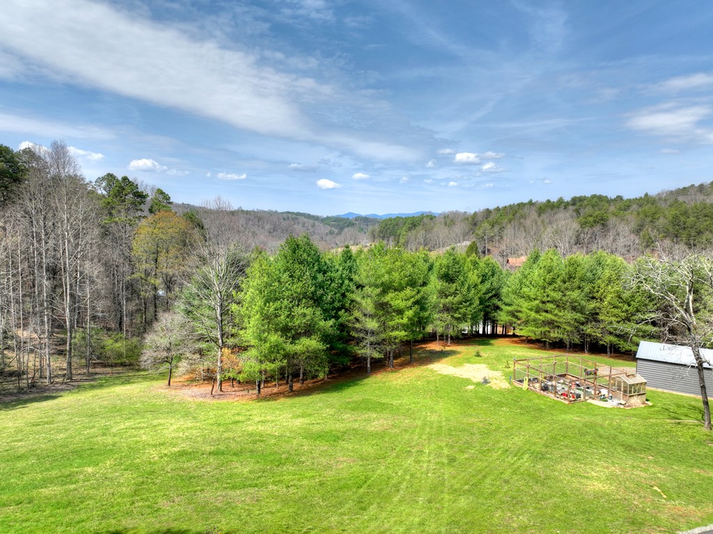435086 Mineral Bluff Active