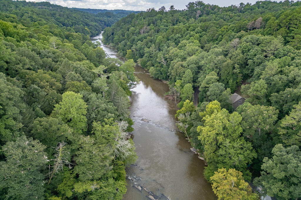 435097 Ellijay Active
