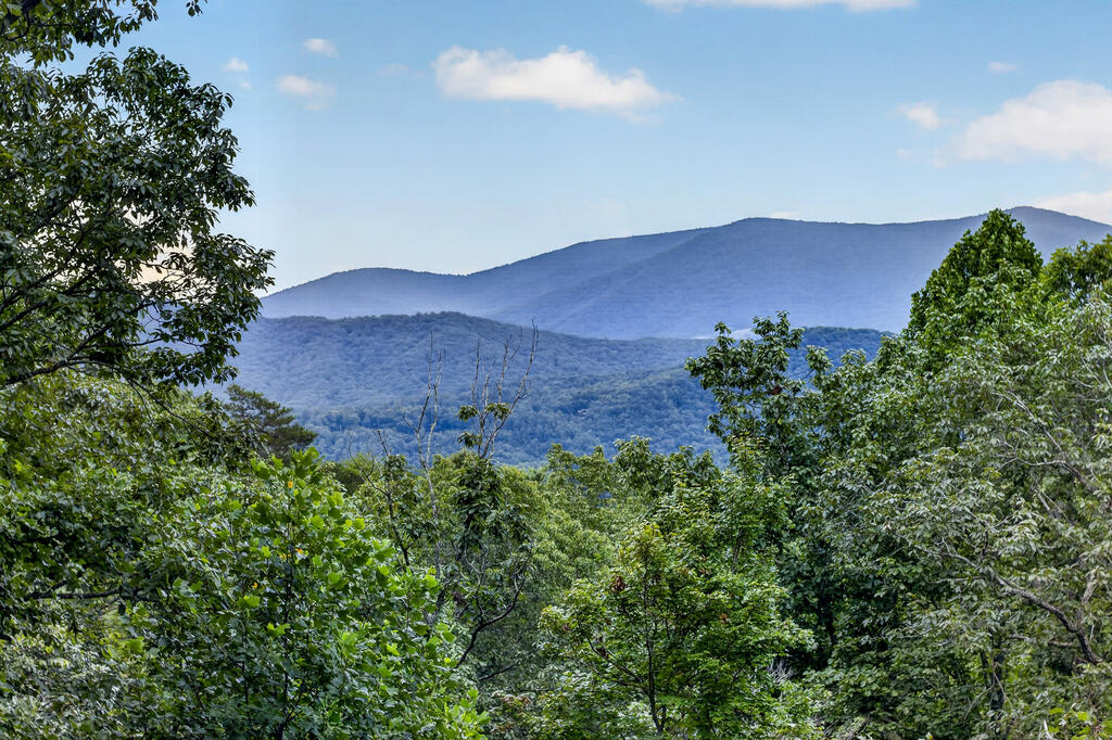 435119 Blue Ridge Active